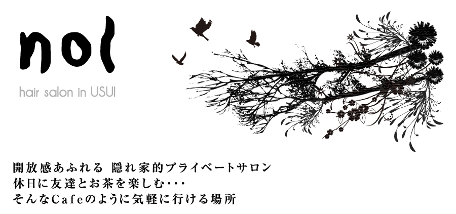 千葉県 佐倉市 臼井 うすい 駅前 美容室 ヘアーサロン nol ノル